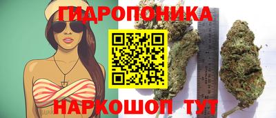 ГАЛЛЮЦИНОГЕННЫЕ ГРИБЫ Канаш