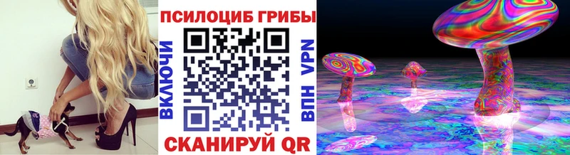 Псилоцибиновые грибы MAGIC MUSHROOMS  наркотики  ОМГ ОМГ маркетплейс  Дагестанские Огни 