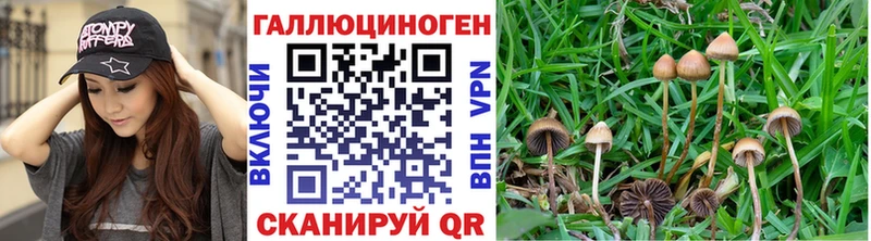 Псилоцибиновые грибы Magic Shrooms Дагестанские Огни