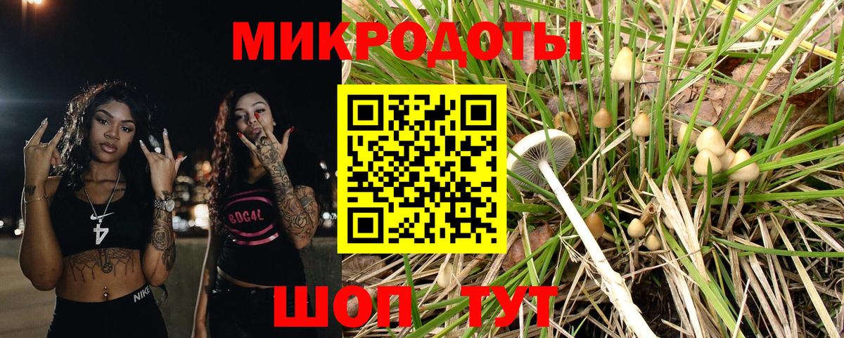 Галлюциногенные грибы ЛСД Дагестанские Огни