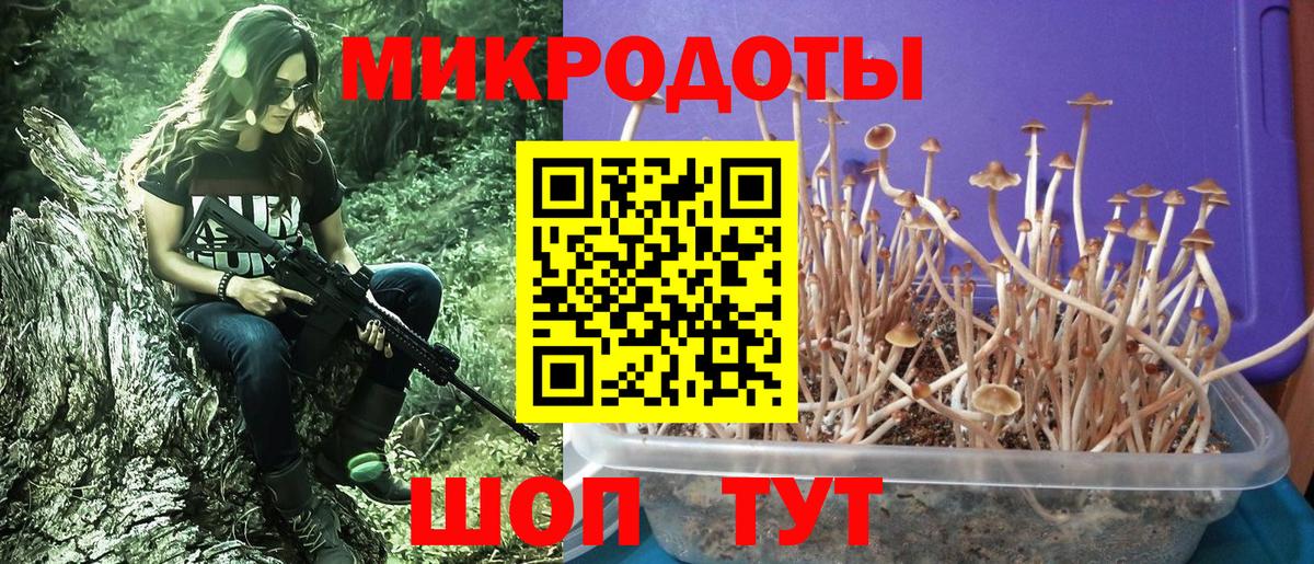 что такое наркотик  Дагестанские Огни  Псилоцибиновые грибы GOLDEN TEACHER 